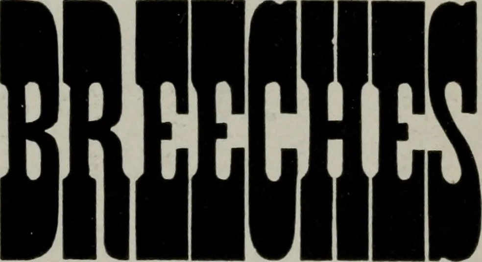 An illustration from Desk book of type specimens, borders, ornaments, brass rules and cuts : catalogue of printing machinery and printers' supplies, 1900, leaf 984