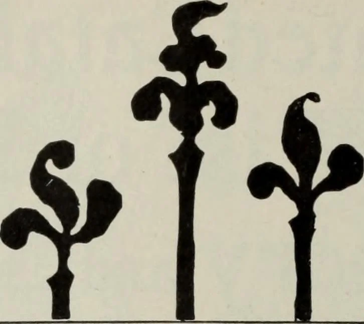 An illustration from Desk book of type specimens, borders, ornaments, brass rules and cuts : catalogue of printing machinery and printers' supplies, 1900, leaf 987