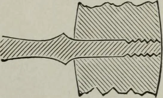 An illustration from Desk book of type specimens, borders, ornaments, brass rules and cuts : catalogue of printing machinery and printers' supplies, 1900, leaf 988