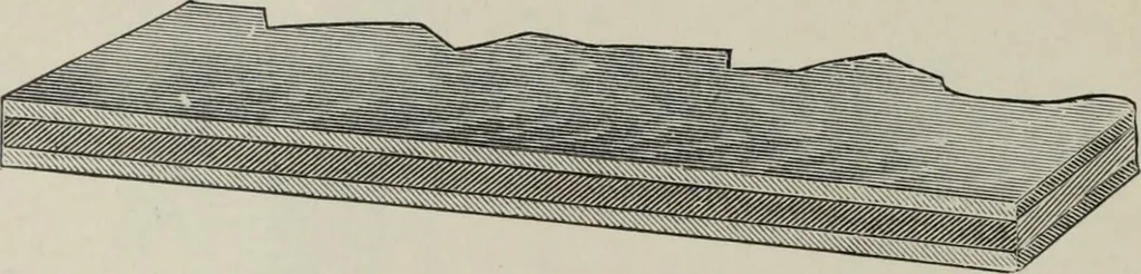 An illustration from Desk book of type specimens, borders, ornaments, brass rules and cuts : catalogue of printing machinery and printers' supplies, 1900, leaf 989