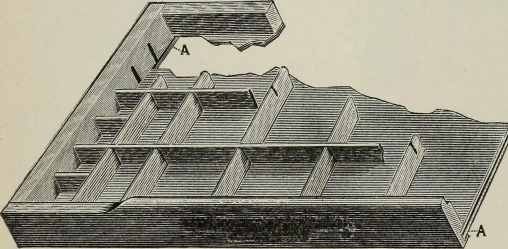 An illustration from Desk book of type specimens, borders, ornaments, brass rules and cuts : catalogue of printing machinery and printers' supplies, 1900, leaf 989