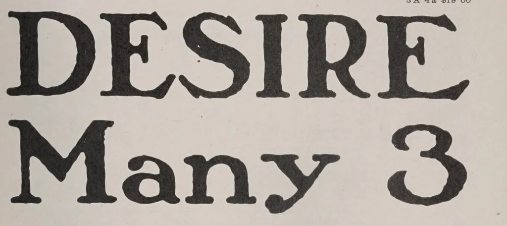 An illustration from Desk book of type specimens, borders, ornaments, brass rules and cuts; (Vol. 1, 1-10), 1902, leaf 301