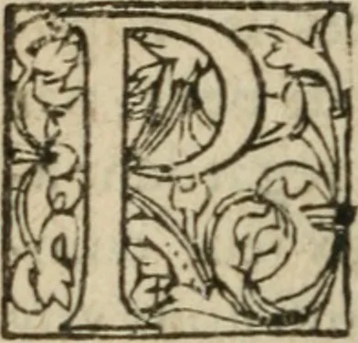 An illustration from Des occultes merveilles et secretz de nature, avec plusieurs enseignemens des choses diverses, tant pat raison probable, que par coniecture artificielle: exposées en deux liures, de non moindre plaisir que profit au lecteur studieux, avec deux tables, l'une des argumens des chapitres, l'autre des singulieres matieres d'iceux, 1574, leaf 271