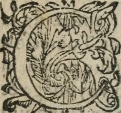 An illustration from Des occultes merveilles et secretz de nature, avec plusieurs enseignemens des choses diverses, tant pat raison probable, que par coniecture artificielle: exposées en deux liures, de non moindre plaisir que profit au lecteur studieux, avec deux tables, l'une des argumens des chapitres, l'autre des singulieres matieres d'iceux, 1574, leaf 280