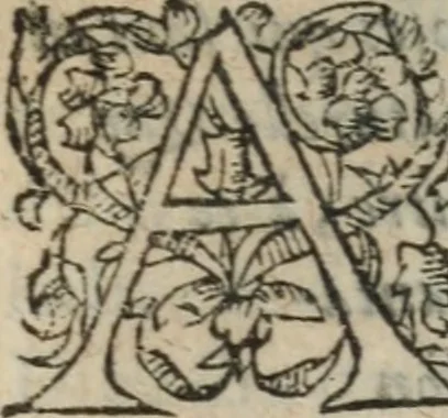 An illustration from Des occultes merveilles et secretz de nature, avec plusieurs enseignemens des choses diverses, tant pat raison probable, que par coniecture artificielle: exposées en deux liures, de non moindre plaisir que profit au lecteur studieux, avec deux tables, l'une des argumens des chapitres, l'autre des singulieres matieres d'iceux, 1574, leaf 292