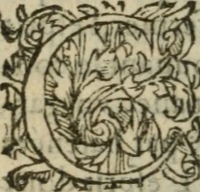 An illustration from Des occultes merveilles et secretz de nature, avec plusieurs enseignemens des choses diverses, tant pat raison probable, que par coniecture artificielle: exposées en deux liures, de non moindre plaisir que profit au lecteur studieux, avec deux tables, l'une des argumens des chapitres, l'autre des singulieres matieres d'iceux, 1574, leaf 293