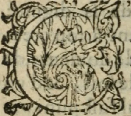 An illustration from Des occultes merveilles et secretz de nature, avec plusieurs enseignemens des choses diverses, tant pat raison probable, que par coniecture artificielle: exposées en deux liures, de non moindre plaisir que profit au lecteur studieux, avec deux tables, l'une des argumens des chapitres, l'autre des singulieres matieres d'iceux, 1574, leaf 295