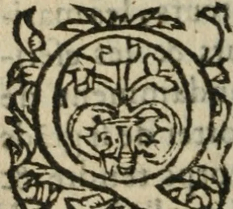 An illustration from Des occultes merveilles et secretz de nature, avec plusieurs enseignemens des choses diverses, tant pat raison probable, que par coniecture artificielle: exposées en deux liures, de non moindre plaisir que profit au lecteur studieux, avec deux tables, l'une des argumens des chapitres, l'autre des singulieres matieres d'iceux, 1574, leaf 311