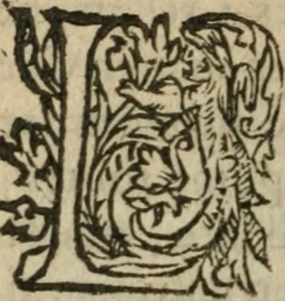 An illustration from Des occultes merveilles et secretz de nature, avec plusieurs enseignemens des choses diverses, tant pat raison probable, que par coniecture artificielle: exposées en deux liures, de non moindre plaisir que profit au lecteur studieux, avec deux tables, l'une des argumens des chapitres, l'autre des singulieres matieres d'iceux, 1574, leaf 329