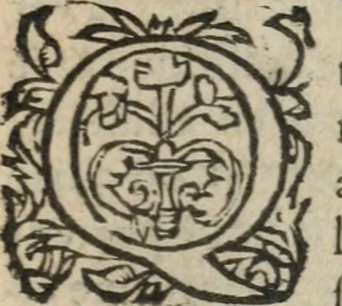 An illustration from Des occultes merveilles et secretz de nature, avec plusieurs enseignemens des choses diverses, tant pat raison probable, que par coniecture artificielle: exposées en deux liures, de non moindre plaisir que profit au lecteur studieux, avec deux tables, l'une des argumens des chapitres, l'autre des singulieres matieres d'iceux, 1574, leaf 334