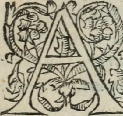 An illustration from Des occultes merveilles et secretz de nature, avec plusieurs enseignemens des choses diverses, tant pat raison probable, que par coniecture artificielle: exposées en deux liures, de non moindre plaisir que profit au lecteur studieux, avec deux tables, l'une des argumens des chapitres, l'autre des singulieres matieres d'iceux, 1574, leaf 34