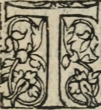 An illustration from Des occultes merveilles et secretz de nature, avec plusieurs enseignemens des choses diverses, tant pat raison probable, que par coniecture artificielle: exposées en deux liures, de non moindre plaisir que profit au lecteur studieux, avec deux tables, l'une des argumens des chapitres, l'autre des singulieres matieres d'iceux, 1574, leaf 372