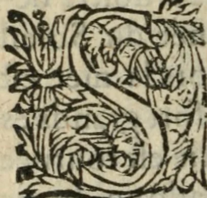 An illustration from Des occultes merveilles et secretz de nature, avec plusieurs enseignemens des choses diverses, tant pat raison probable, que par coniecture artificielle: exposées en deux liures, de non moindre plaisir que profit au lecteur studieux, avec deux tables, l'une des argumens des chapitres, l'autre des singulieres matieres d'iceux, 1574, leaf 391