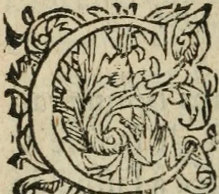 An illustration from Des occultes merveilles et secretz de nature, avec plusieurs enseignemens des choses diverses, tant pat raison probable, que par coniecture artificielle: exposées en deux liures, de non moindre plaisir que profit au lecteur studieux, avec deux tables, l'une des argumens des chapitres, l'autre des singulieres matieres d'iceux, 1574, leaf 393