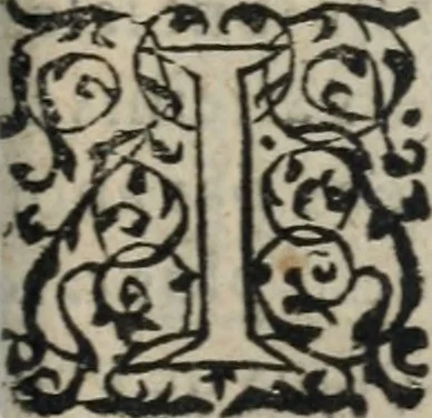An illustration from Des occultes merveilles et secretz de nature, avec plusieurs enseignemens des choses diverses, tant pat raison probable, que par coniecture artificielle: exposées en deux liures, de non moindre plaisir que profit au lecteur studieux, avec deux tables, l'une des argumens des chapitres, l'autre des singulieres matieres d'iceux, 1574, leaf 408