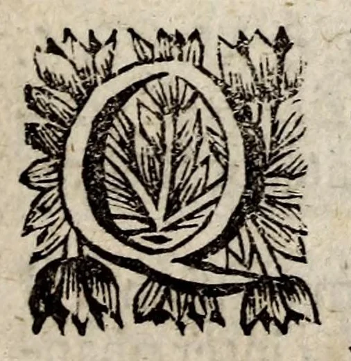 An illustration from De spectris, lemuribus et magnis atque insolitis fragoribus, variisque praesagitionibus, quae plerunque obitum hominum, magnas clades, mutationesque imperiorum praecedunt, liber unus. In tres partes distributus. Omnibus veritatis studiosis summe utilis, 1687, leaf 19