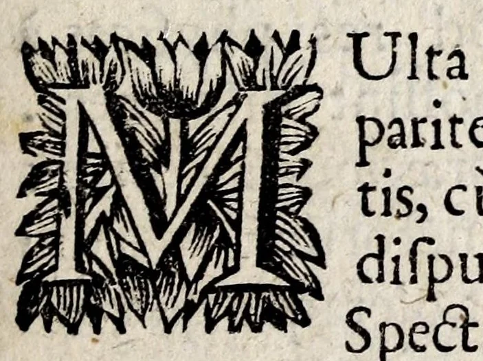 An illustration from De spectris, lemuribus et magnis atque insolitis fragoribus, variisque praesagitionibus, quae plerunque obitum hominum, magnas clades, mutationesque imperiorum praecedunt, liber unus. In tres partes distributus. Omnibus veritatis studiosis summe utilis, 1687, leaf 9