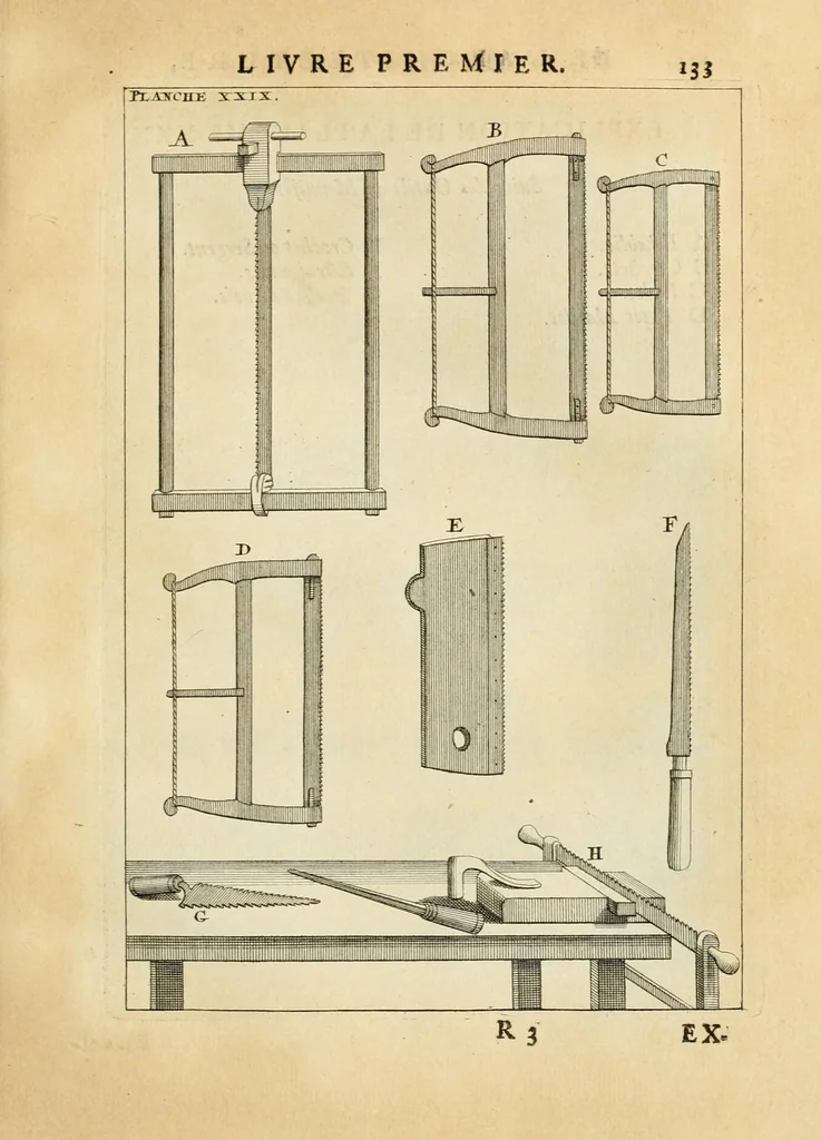 An illustration from Des principes de l'architecture, de la sculpture, de la peinture, et des autres arts qui en dépendent : avec un dictionnaire des termes propres à chacun de ces arts, 1699, leaf 161