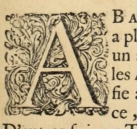 An illustration from Des principes de l'architecture, de la sculpture, de la peinture, et des autres arts qui en dépendent : avec un dictionnaire des termes propres à chacun de ces arts, 1697, leaf 363