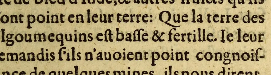 An illustration from Des sauuages, ou, Voyage de Samuel Champlain, de Brouage, fait en la France nouuelle, l'an mil six cens trois: ., 1603, leaf 69