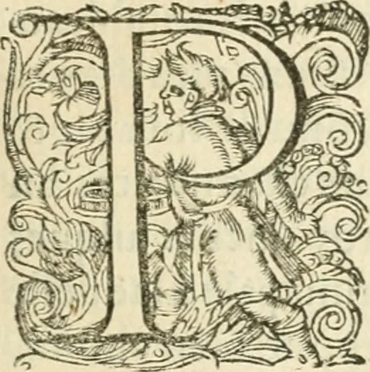 An illustration from Desseins de professions nobles et publiques : contenans plusieurs traités divers & rares : avec l'histoire de la maison de Bourbon, 1612, leaf 32