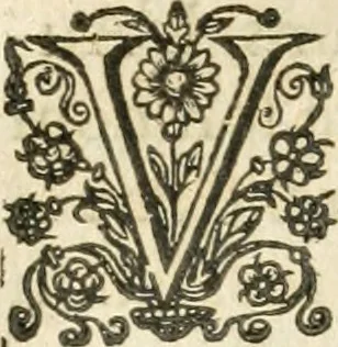 An illustration from Desseins de professions nobles et publiques : contenans plusieurs traités divers & rares : avec l'histoire de la maison de Bourbon, 1612, leaf 359