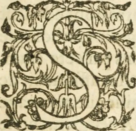 An illustration from Desseins de professions nobles et publiques : contenans plusieurs traités divers & rares : avec l'histoire de la maison de Bourbon, 1612, leaf 36