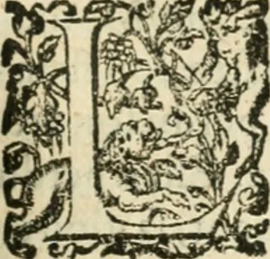 An illustration from Desseins de professions nobles et publiques : contenans plusieurs traités divers & rares : avec l'histoire de la maison de Bourbon, 1612, leaf 380