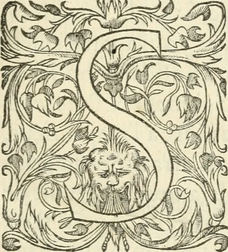 An illustration from Desseins de professions nobles et publiques : contenans plusieurs traités divers & rares : avec l'histoire de la maison de Bourbon, 1612, leaf 6