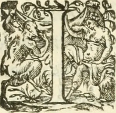 An illustration from Desseins de professions nobles et publiques : contenans plusieurs traités divers & rares : avec l'histoire de la maison de Bourbon, 1612, leaf 662
