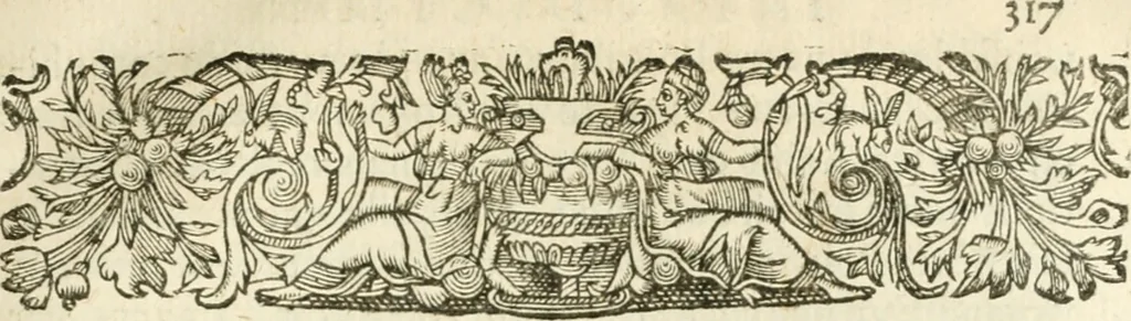 An illustration from Desseins de professions nobles et publiques : contenans plusieurs traités divers & rares : avec l'histoire de la maison de Bourbon, 1612, leaf 668
