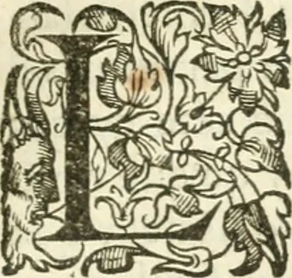 An illustration from Desseins de professions nobles et publiques : contenans plusieurs traités divers & rares : avec l'histoire de la maison de Bourbon, 1612, leaf 668