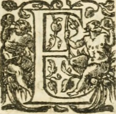 An illustration from Desseins de professions nobles et publiques : contenans plusieurs traités divers & rares : avec l'histoire de la maison de Bourbon, 1612, leaf 72
