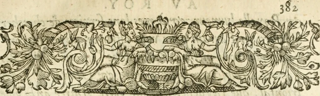 An illustration from Desseins de professions nobles et publiques : contenans plusieurs traités divers & rares : avec l'histoire de la maison de Bourbon, 1612, leaf 808
