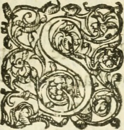 An illustration from Desseins de professions nobles et publiques : contenans plusieurs traités divers & rares : avec l'histoire de la maison de Bourbon, 1612, leaf 808