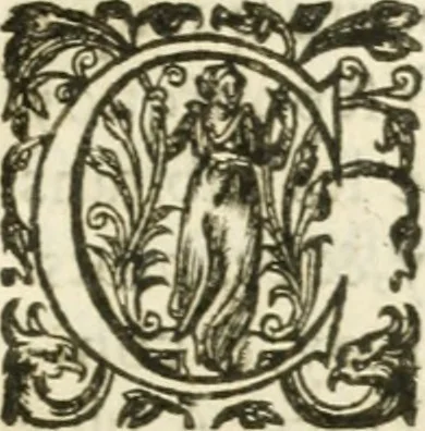 An illustration from Desseins de professions nobles et publiques : contenans plusieurs traités divers & rares : avec l'histoire de la maison de Bourbon, 1612, leaf 810