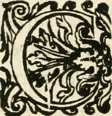 An illustration from Desseins de professions nobles et publiques : contenans plusieurs traités divers & rares : avec l'histoire de la maison de Bourbon, 1612, leaf 839