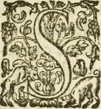 An illustration from Desseins de professions nobles et publiques : contenans plusieurs traités divers & rares : avec l'histoire de la maison de Bourbon, 1612, leaf 84