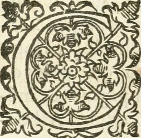 An illustration from Desseins de professions nobles et publiques : contenans plusieurs traités divers & rares : avec l'histoire de la maison de Bourbon, 1612, leaf 911