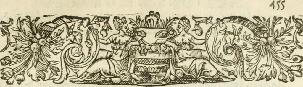 An illustration from Desseins de professions nobles et publiques : contenans plusieurs traités divers & rares : avec l'histoire de la maison de Bourbon, 1612, leaf 954