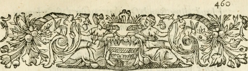 An illustration from Desseins de professions nobles et publiques : contenans plusieurs traités divers & rares : avec l'histoire de la maison de Bourbon, 1612, leaf 964