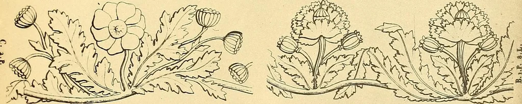 An illustration from Dessins d'ornements d'architecture de Joseph Beunat : reproduction de l'ouvrage, epoque du premier Empire, 1900, leaf 106