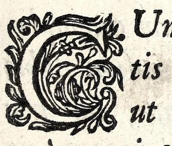 An illustration from De ss. martyrum cruciatibus liber : quo instrumenta & modi quibus ijdem martyres olim torquebantur, simul perspicuè descripta, & tabulis aeneis accuratissimè expressa sunt, 1668, leaf 9