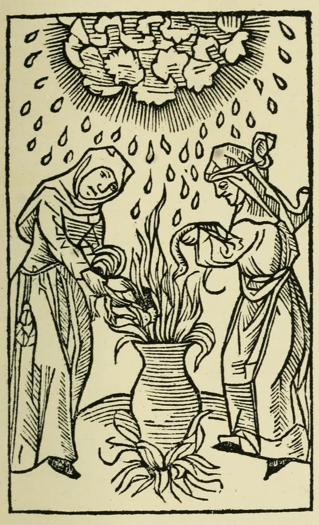 An illustration from Des sorcières et des devineresses, 1926, leaf 47