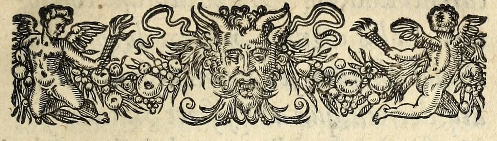 An illustration from De Statibvs Franciae, illorvmqve potestate, epitome., 1578, leaf 3