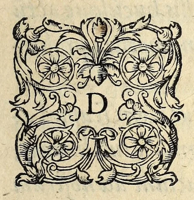 An illustration from De Statibvs Franciae, illorvmqve potestate, epitome., 1578, leaf 3