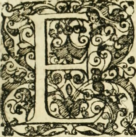 An illustration from De statu publico Europae novissimo tractatus, in quo unà cùm aliis nobilissimis atque utilissimis materiis juris publici, practici magis, quàm speculativi, illustres controversiae, praetensiones, judicia politica, praecedentiarum quaestiones & decisiones, tàm in comitiis imperii, quàm alibi agitatae, reperiuntur. Quibus insuper accesserunt, instar commentarii, paratitla de aurea bulla, recessibus imperii, ordinatione camerali, pace religiosa & profana, item capitulatione caesarea, 1675, leaf 12