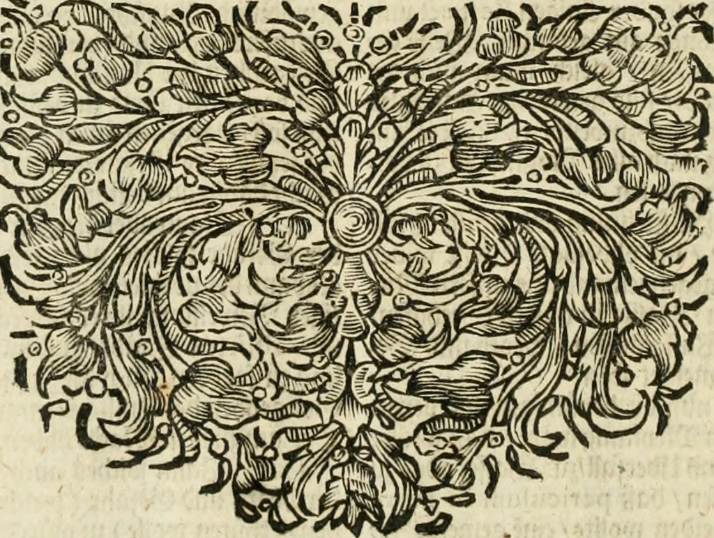 An illustration from De statu publico Europae novissimo tractatus, in quo unà cùm aliis nobilissimis atque utilissimis materiis juris publici, practici magis, quàm speculativi, illustres controversiae, praetensiones, judicia politica, praecedentiarum quaestiones & decisiones, tàm in comitiis imperii, quàm alibi agitatae, reperiuntur. Quibus insuper accesserunt, instar commentarii, paratitla de aurea bulla, recessibus imperii, ordinatione camerali, pace religiosa & profana, item capitulatione caesarea, 1675, leaf 1259
