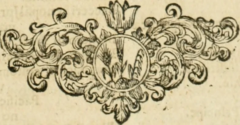 An illustration from De statu publico Europae novissimo tractatus, in quo unà cùm aliis nobilissimis atque utilissimis materiis juris publici, practici magis, quàm speculativi, illustres controversiae, praetensiones, judicia politica, praecedentiarum quaestiones & decisiones, tàm in comitiis imperii, quàm alibi agitatae, reperiuntur. Quibus insuper accesserunt, instar commentarii, paratitla de aurea bulla, recessibus imperii, ordinatione camerali, pace religiosa & profana, item capitulatione caesarea, 1675, leaf 1402