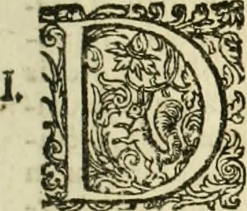 An illustration from De statu publico Europae novissimo tractatus, in quo unà cùm aliis nobilissimis atque utilissimis materiis juris publici, practici magis, quàm speculativi, illustres controversiae, praetensiones, judicia politica, praecedentiarum quaestiones & decisiones, tàm in comitiis imperii, quàm alibi agitatae, reperiuntur. Quibus insuper accesserunt, instar commentarii, paratitla de aurea bulla, recessibus imperii, ordinatione camerali, pace religiosa & profana, item capitulatione caesarea, 1675, leaf 32